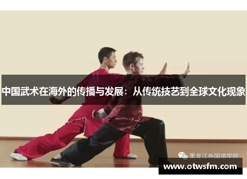 中国武术在海外的传播与发展：从传统技艺到全球文化现象